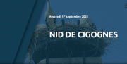 1er Septembre : Nid de cigognes - Via Vosges 