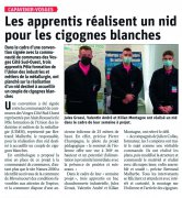 11 Septembre : Les apprentis réalisent un nid pour les cigognes blanches