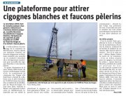 04 Décembre : Une plateforme pour attirer cigognes blanches et faucons pèlerins